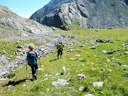 93 In fondo al pianoro giriamo in salita a sx per il Curo